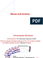 W9 Mitosis Chapter11