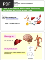 T-16 Metab. Glucógeno