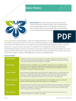 Macronutrients Proteins