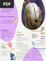 Trifolio Epilepsia