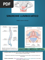 Sindrome Lumbociatico