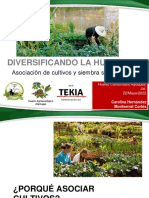 Taller Diversificación en El Huerto - Ayuquila 2022