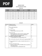 Marking Scheme Pembinaan Item Kbat Sem 1 2022