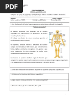 Prueba Sistema Locomotor 4°