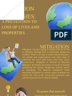 Mitigation Strategies