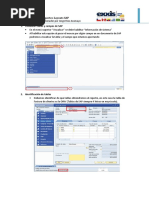 Manual Creación Reportes-Layouts SAP