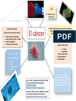 Evaluaciones Del Curso - Evaluaciones Calificadas - Evaluacion T2