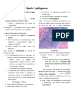 Tecido Cartilaginoso - Resumo