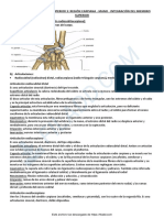 TP3 - Parte 1 - MS3