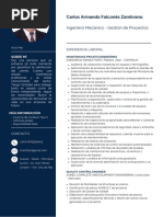 CV Carlosfalcones Pmp2023