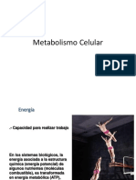 Metabolismo Celular