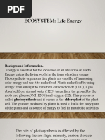 Ecosystem Life Energy