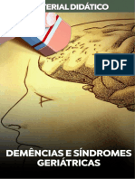 Demências e Síndromes Geriátricas