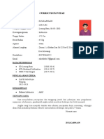 Curriculum Vitae Asli