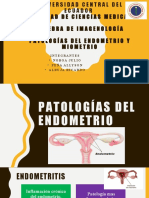 Patologías Uterinas