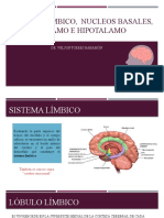 II SEM-TEMA2 Sist Limbico, Ganglios Basales, Talamo, Hipotalamo