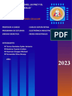 Informe (Telefonia Celular)