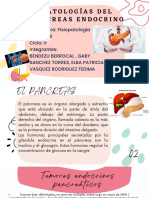 Patologias Del Pancreas