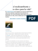 Qué Es El Medioambiente y Por Qué Es Clave para La Vida