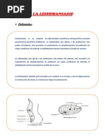 La Leishmaniasis