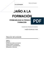 Introducción y Causas Del Daño A La Formación