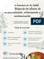 Impacto Humano en La Salud Animal Mitigando Los Efectos de La Deforestación, Urbanización y Contaminación