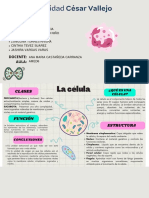 LA CÉLULA - MAPA MENTAL. Grupo 7.