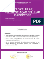 Ciclo Celular, Diferenciação Celular e Apoptose