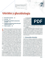 Glucidos Lehninger Bioquimica 5ta Español Cap 7