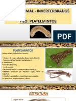 2 Ano - Bio 2 - Frente A - Cap.1 Filo Platelmintos e Nematoides