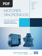 WEG Motores Sincronicos 50027895 Catalogo Espanol DC