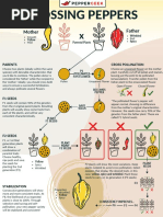 Cross Breeding Peppers Graphic