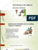 Miología Comparada