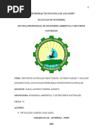 Economia Ambiental - Recursos Naturales Renovables, No Renovables y Analisis Dinámico para Solucionar Problemas de Recursos Naturales.