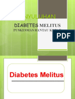 Penyuluhan Prolanis Diabetes