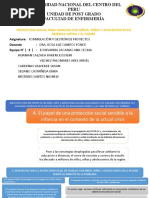 Proteccion Social para Familias Con Niños, Niñas y Adolescentes en La Region Junin Final