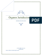 Órganos Jurisdiccionales