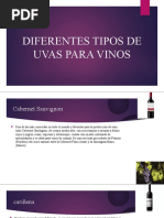 Diferentes Tipos de Uvas para Vinos