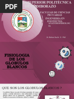 Fisiologia de Los Globulos Blancos