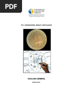 PP1 Bio 1150 Microscopia Dibujo y Rotulación