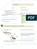 Ficha de Trabajo de Respiracion en Animales