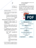 Hiperbilirrubinemia Neonatal