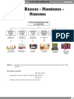 Actividad Oxidos, Hidroxidos e Hidruros