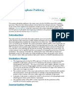 Pentose Phosphate Pathway