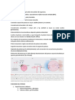 Homeostasis Del Potasio