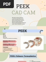 Peek Cad Cam