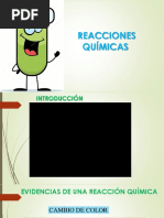 Reacciones Químicas