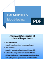 HAEMOPHILUS