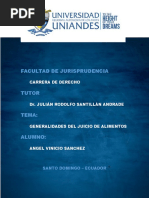 Generalidades Del Juicio de Alimentos