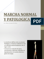 Marcha Normal y Patologica